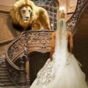 Meet your Posher, Rhoda